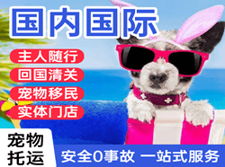 瑷珲机场空运国际宠物托运 【国